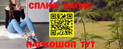 спиды Бийск