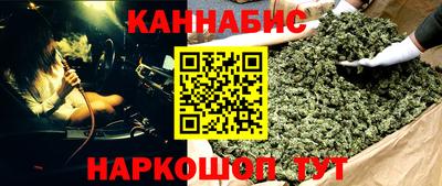 крисы Гай