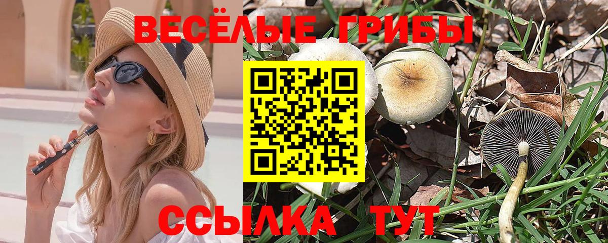 Всеволожск  Псилоцибиновые грибы прущие грибы  Вход с VPN 